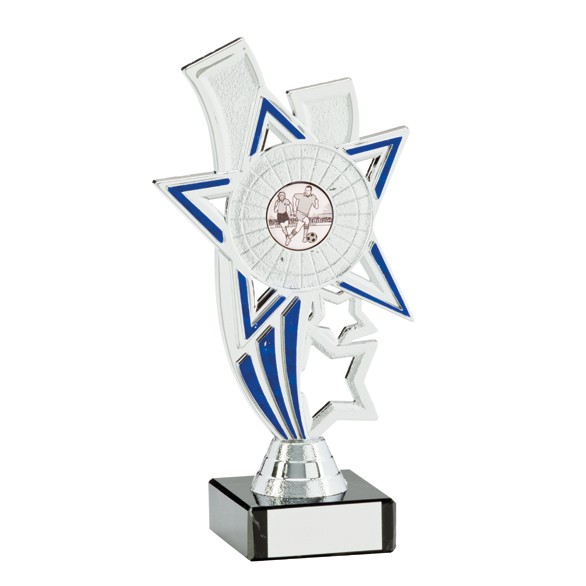 Apollo Silver/Blue Award